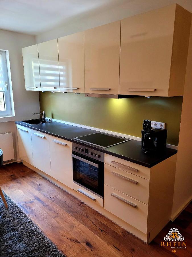 Top Modernes Rhein Apartment Vallendar Zewnętrze zdjęcie